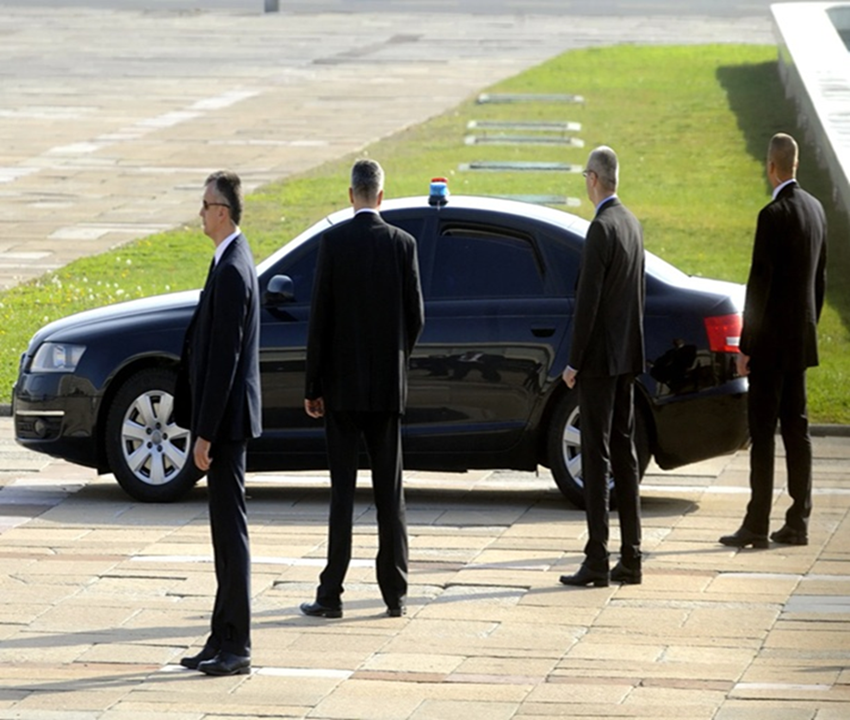 Professional Security Team